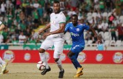 ag6-omonoia-apollwn-d-Goulon (4)