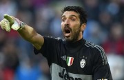 buffon