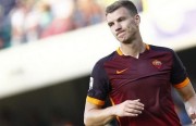 dzeko