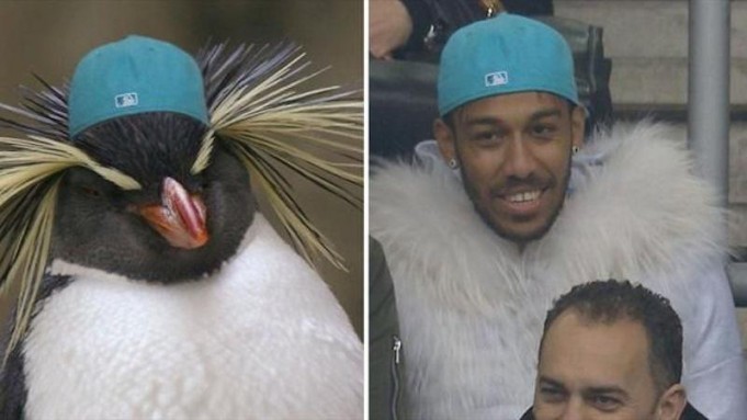 Με το παλτό της κοπέλας του στο γήπεδο ο Ομπαμεγιάνγκ