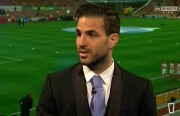 fabregas