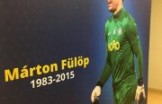 Marton Fulop