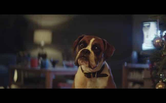 buster_the_boxer_-_john_lewis_christmas_ad_07-large_transnjjoebt78qiaydkjdey4cngtjfjs74myhny6w3gnbo8