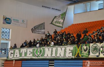 Basket-Enad (26)