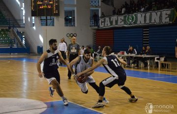 Basket-Enad (40)