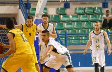 Basket-AEL (1)