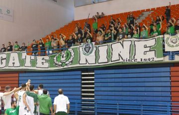 Basket-AEL (4)