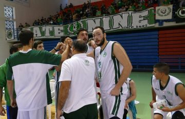 Basket-AEL (5)