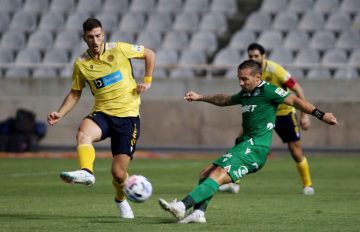 Omonoia-Ael-a-gyros (42)