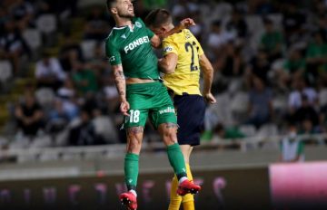 Omonoia-Ael-a-gyros (51)