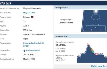 Scepovic-Transfermarkt