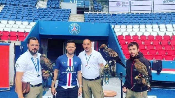 Παρί Σεν Ζερμέν: Επιστράτευσε γεράκια για να προστατέψει τον χλοοτάπητα του «Παρκ ντε Πρενς»