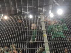 «Ταξιδεύω για σένα…»: Vienna memories!