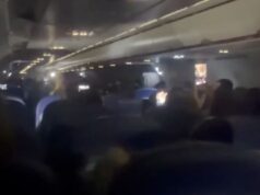 Πράσινος πανικός σε πτήση προς την Βιέννη